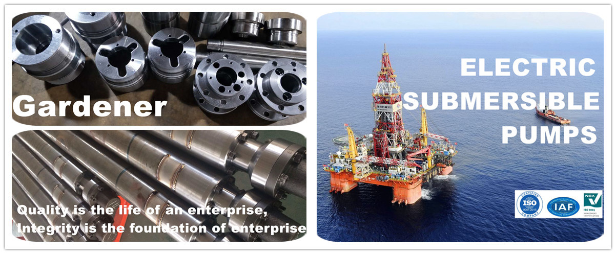 Electric Submersible Pumps