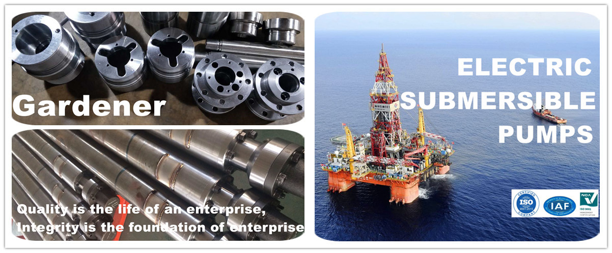 Submersible Motor Parts